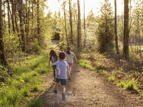 The things they lost, the things nature can return