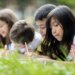 Children writing on paper while laying on the grass.
