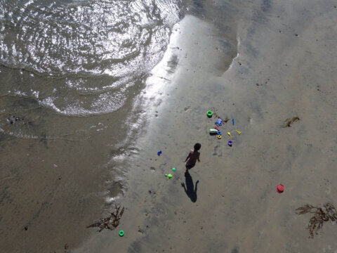 HOW DO WE FIGHT NATURE-BLINDNESS?