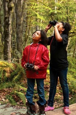 Boys looking up in trees with binoculars.
