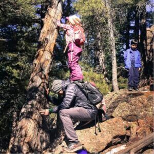 Kids climbing in trees.