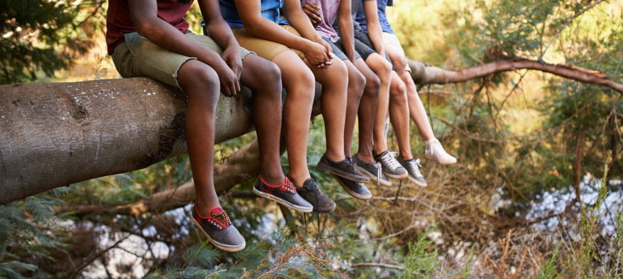 Kids sitting together on tree branch.