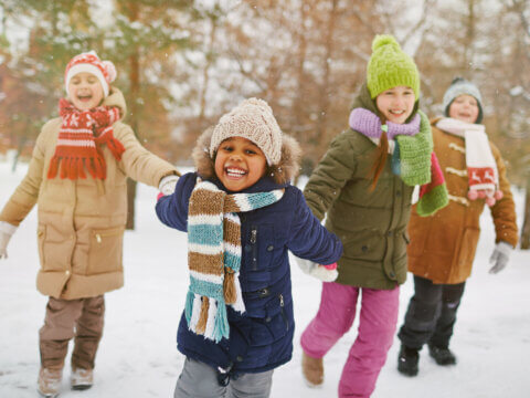 Explore the 10 most-read Finding Nature News articles of 2023