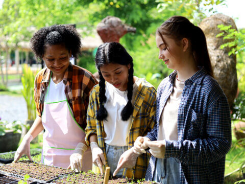 Passage of No Child Left Inside Act suggests new era for nature in education