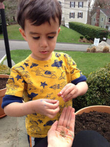 child getting seeds to plants