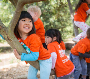 Nature Exploration Area At Rolph Nicol