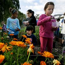 Children in garden with flowers.