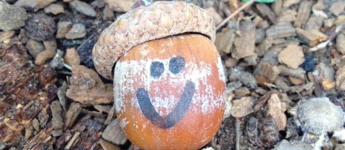 pumpkin with a face drawn on it
