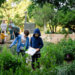 Children explore a grassy area with shrubs, surrounded by stone walls. One holds a clipboard and paper in his hand.