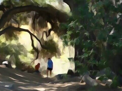 10 ways faith-based organizations can connect children, families and communities to the natural world