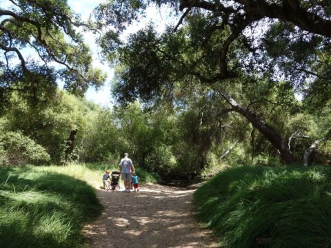 TIME FOR YOUR VITAMIN ‘N’: Ten great ways pediatricians and other health professionals can promote health and wellness