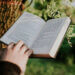 hands holding an open book