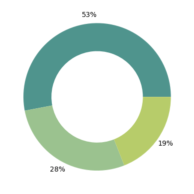 Seed grant use: coordinator 53%, engagement 28%, general 19%