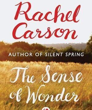 WAY GOOD GIFT BOOKS: A few dangerous suggestions for your consideration