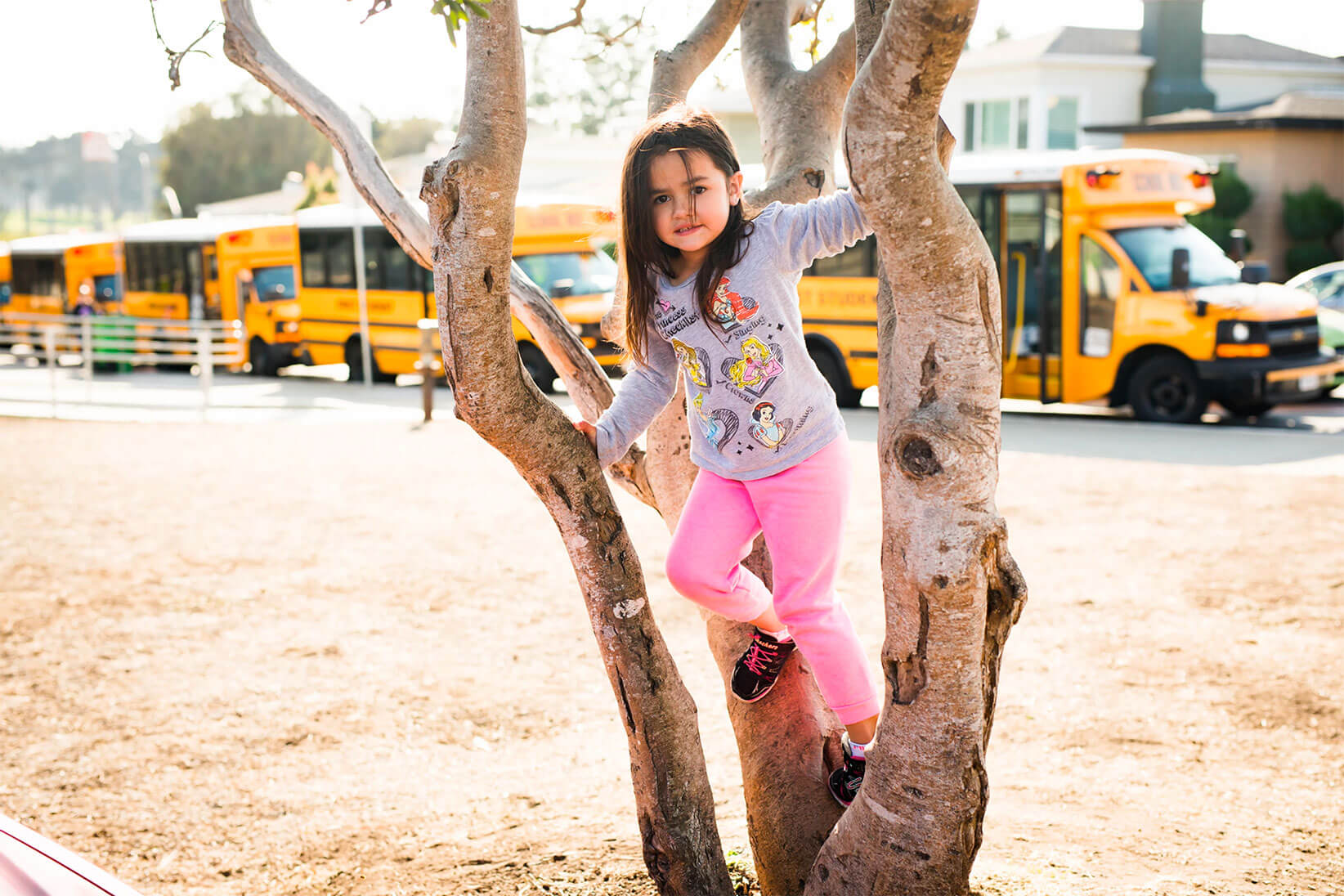 Young girl climbing on tree.