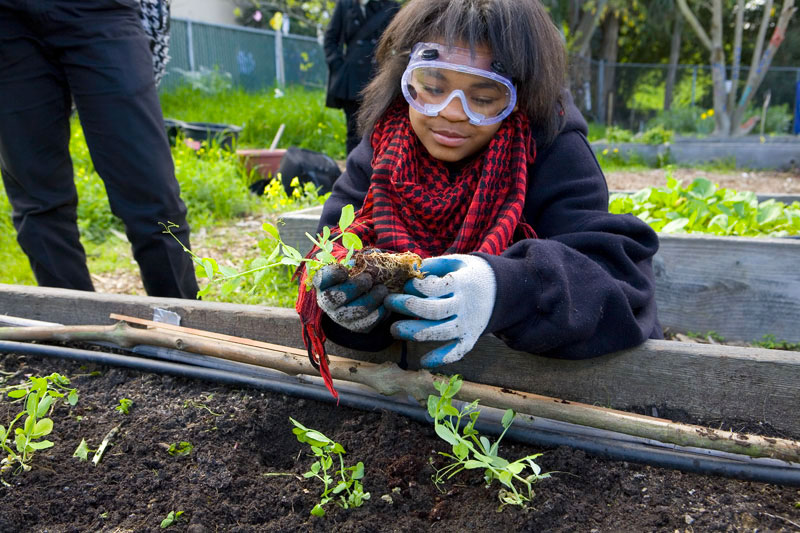Girl with goggles and gloves inspecting small garden plant.