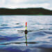 fishing float in a lake