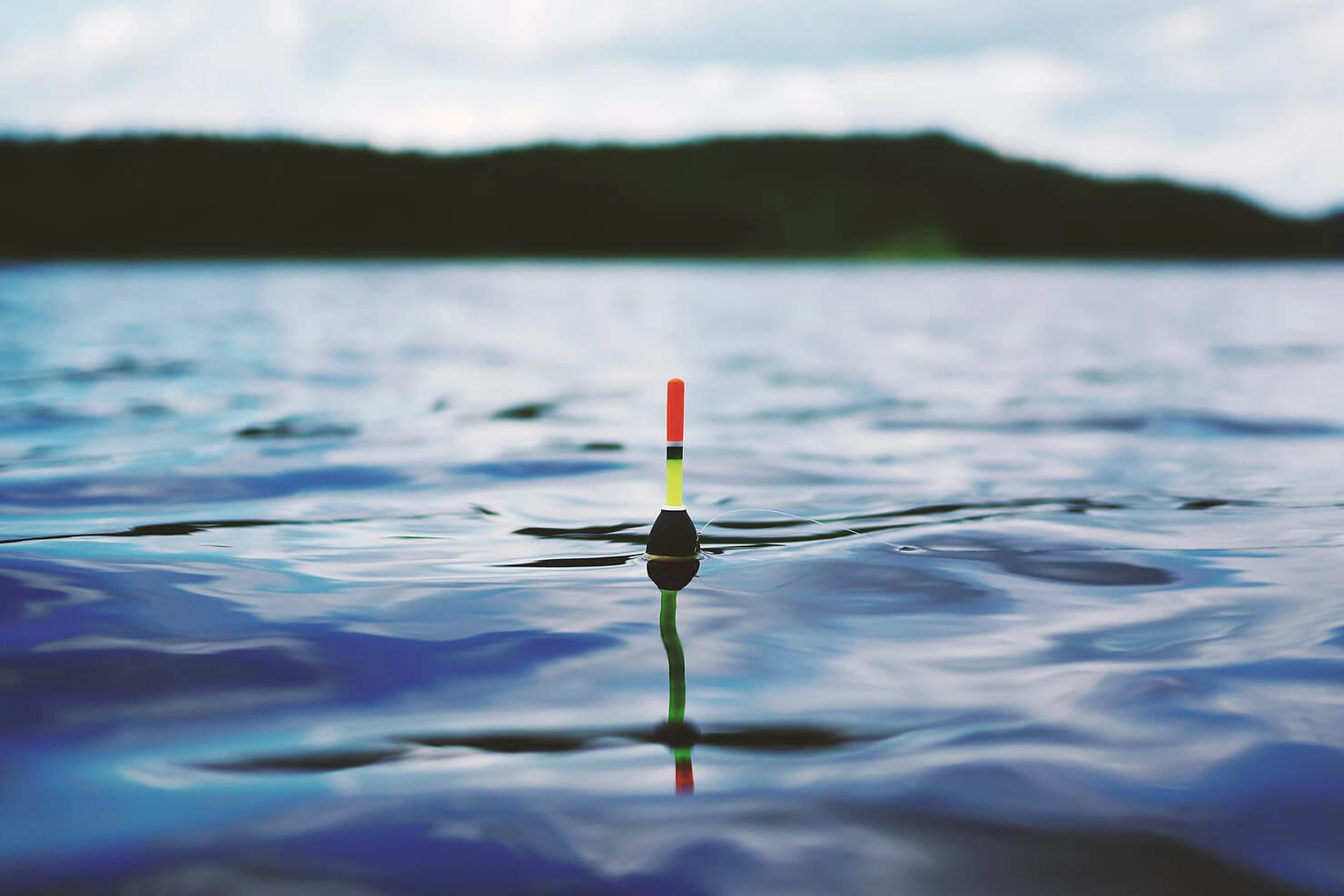 fishing float in a lake