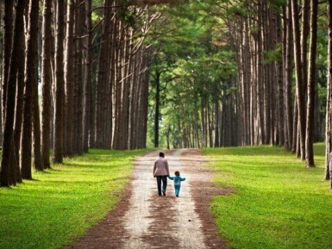 IMAGINE A NEWER WORLD: A Vision of a Nature-Rich Future, One We Can Create Together