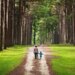 Mom and child walking along path in woods.