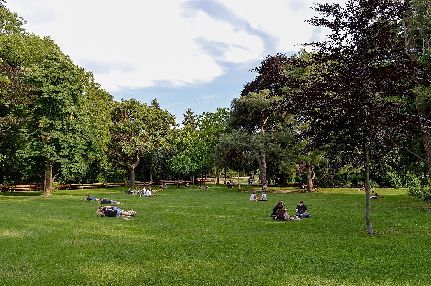 distant view of multiple groups of people siting at a park