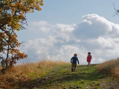 GROWING THE NEW NATURE MOVEMENT: Systems Reform, Individual Action and Connection to Nature as a Global Human Right