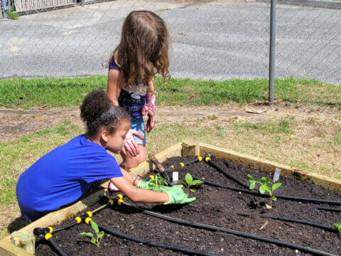 Sowing seeds for healthy habits: Farm to Early Care and Education