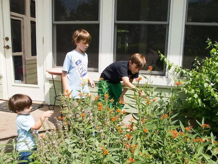 three kids looking into a garden