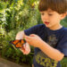 kid with monarch butterfly on hand