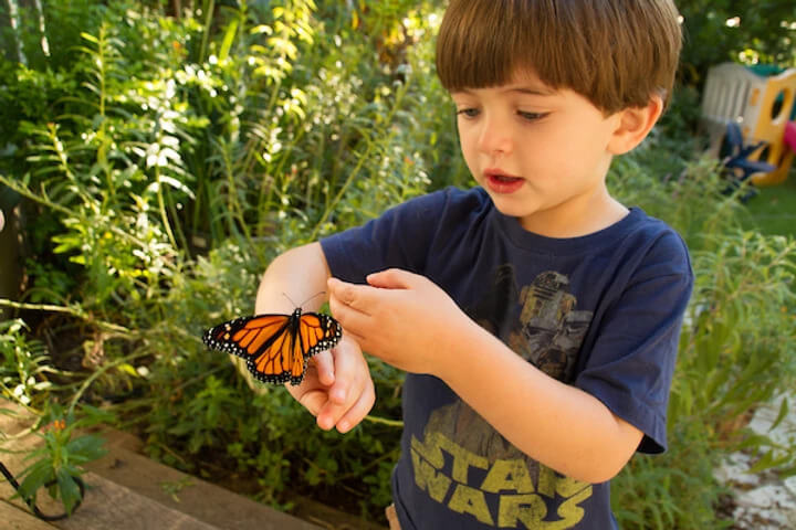 kid with monarch butterfly on hand