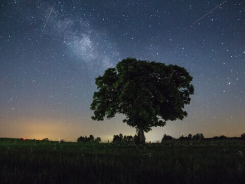 EVERY CHILD DESERVES TO SEE THE STARS: Five Ways to Make It So. Please Share Your Suggestions.