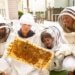A teacher and three students wearing beekeeping suits crouch around a beehive frame covered in bees.