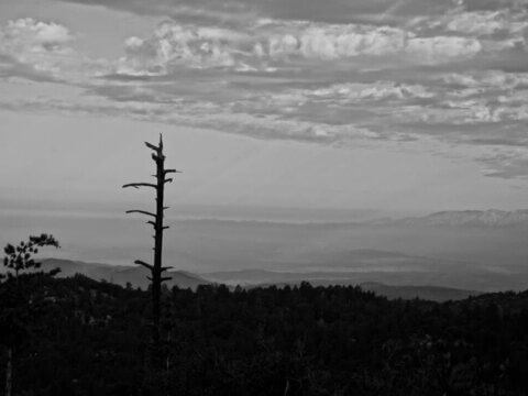 TELLING STORIES: One Night in a Mountain Cabin, a Long Time Ago …