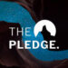 The Pledge