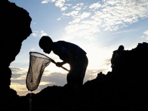 WHAT’S NATURE? Scientists and Poets Struggle to Find the Answer, but Each of Us Must Capture the Mystery