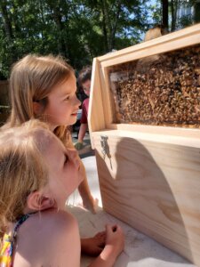 Two young students look at a beehive frame covered in bees, encased in glass to view from the outside.