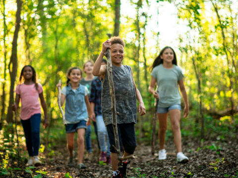 Nature’s own economic stimulus package…and a right to a walk in the woods