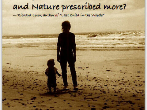 SMART PILLS VS. NATURE SMART: Want Your Kids to Do Better in School? Try a Dose of "Vitamin N"