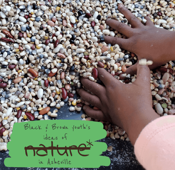 childs hands reaching into a variety of beans